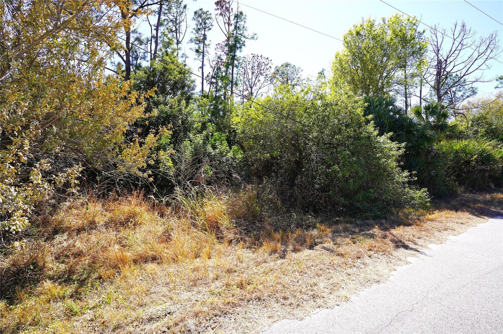 Image 1 Image 1