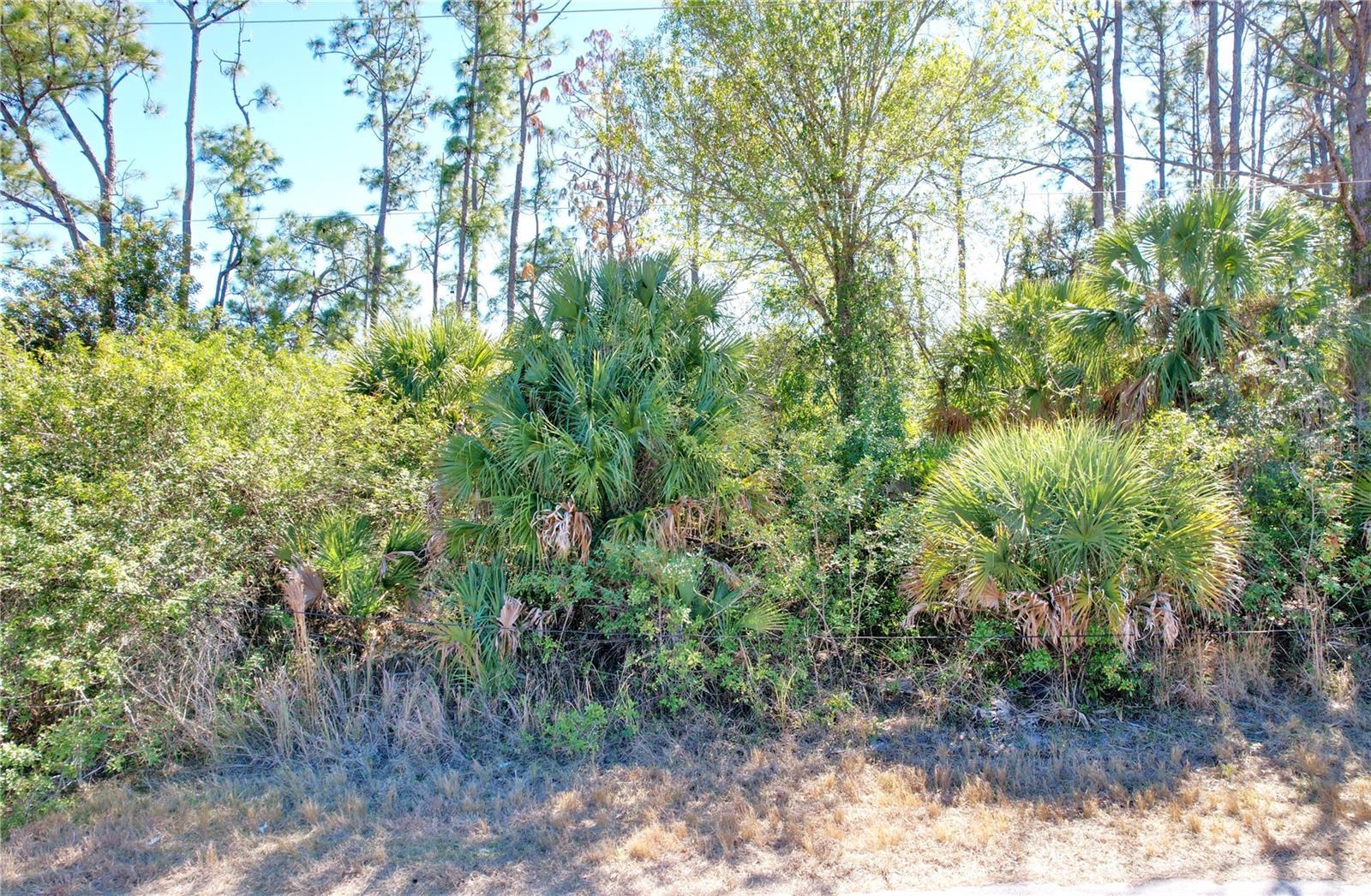 Image 4 Image 4