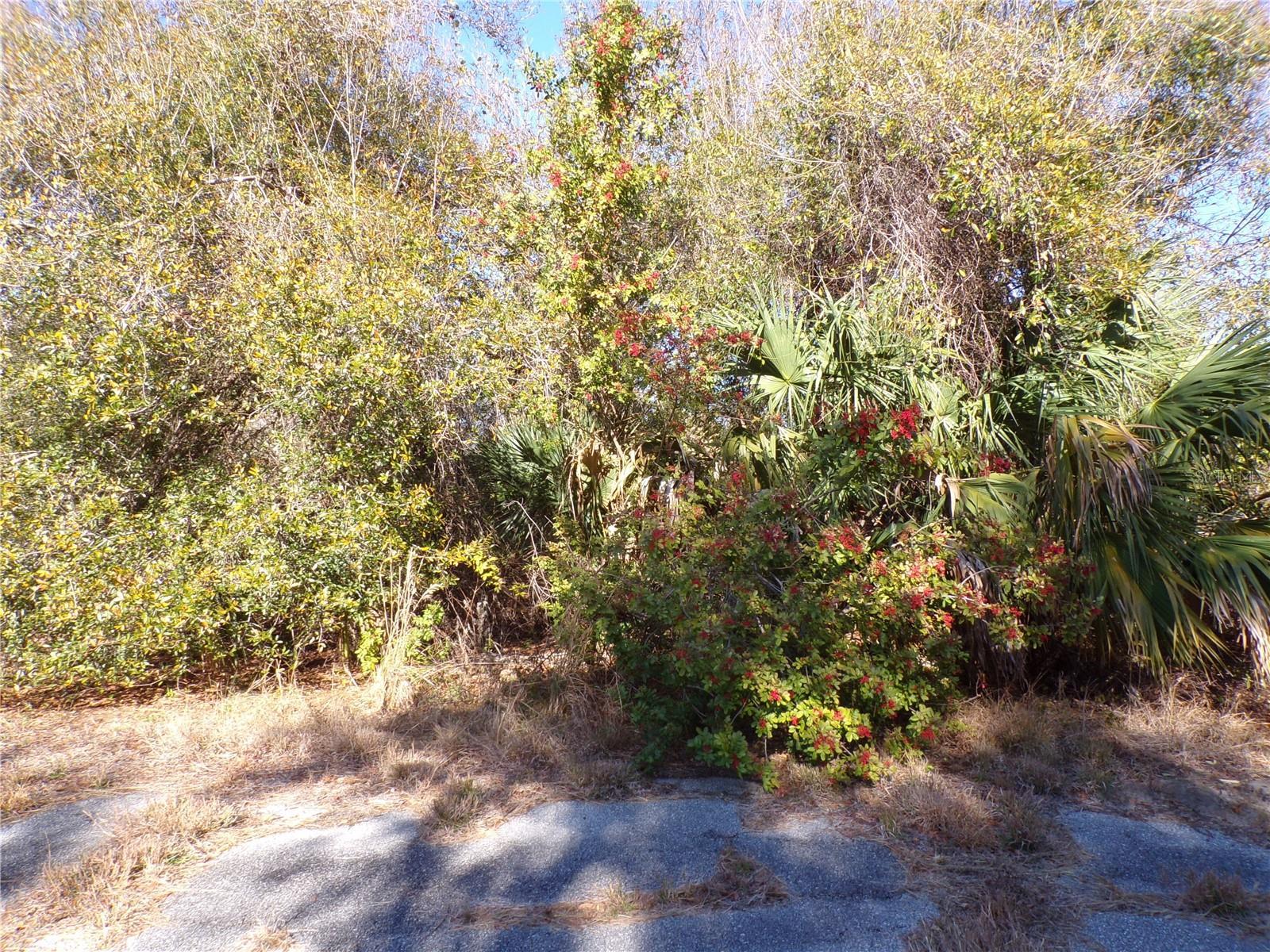 Image 3 Image 3
