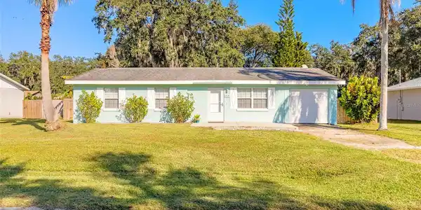 1719 UMBRELLA TREE DRIVE