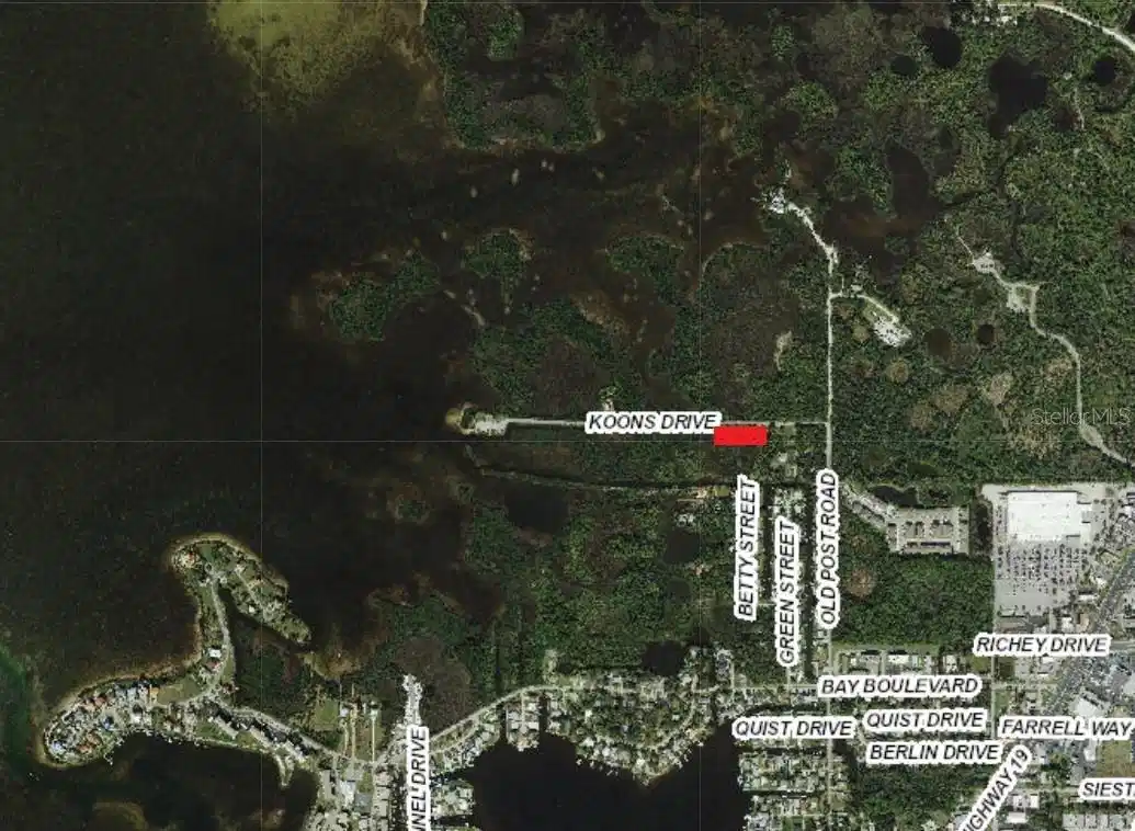 Image 1 Image 1