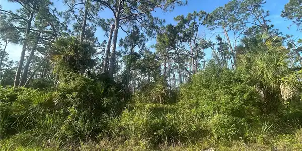 Image 3 Image 3