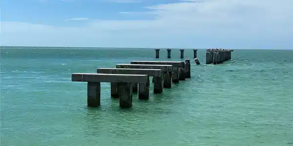 Image 4 Image 4