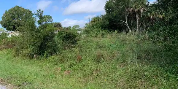 Image 4 Image 4