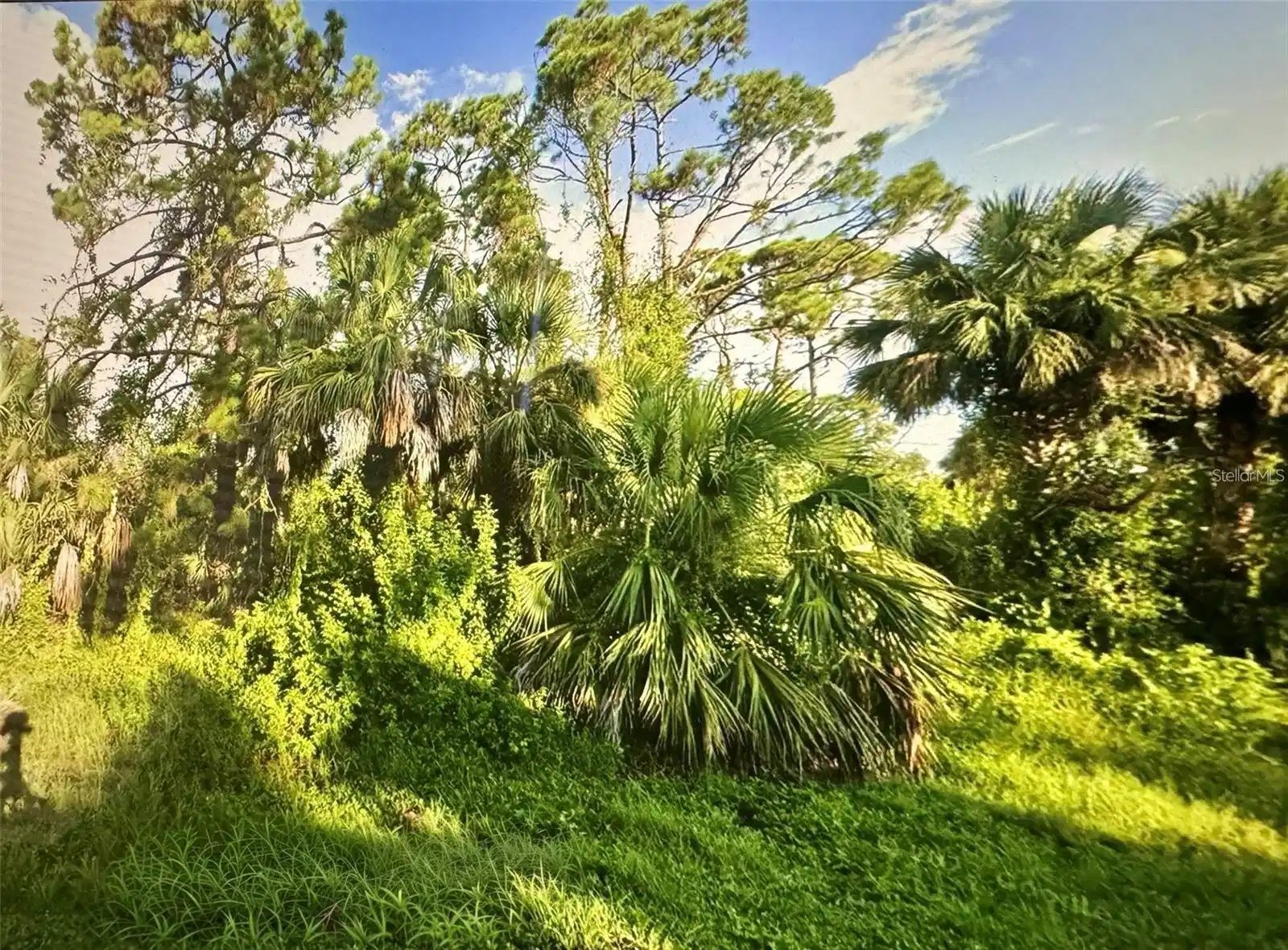 Image 1 Image 1