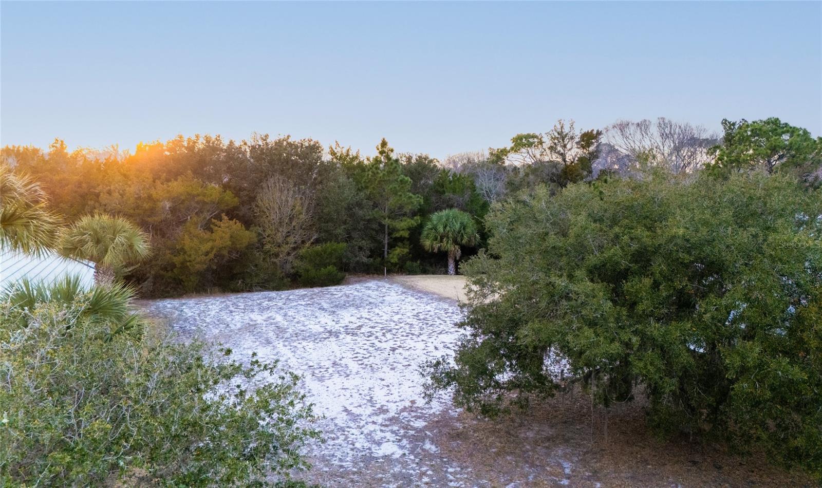 Image 4 Image 4