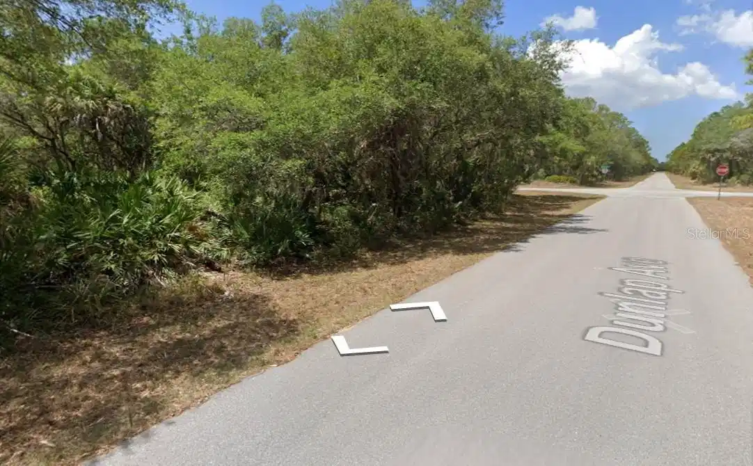 Image 1 Image 1