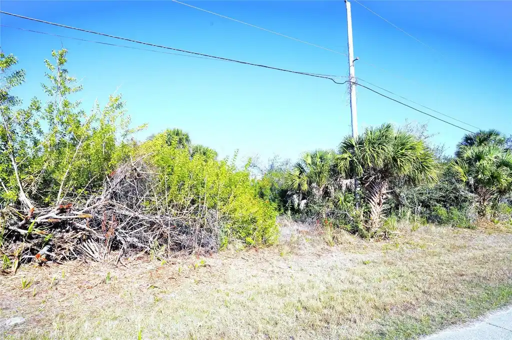 Image 1 Image 1