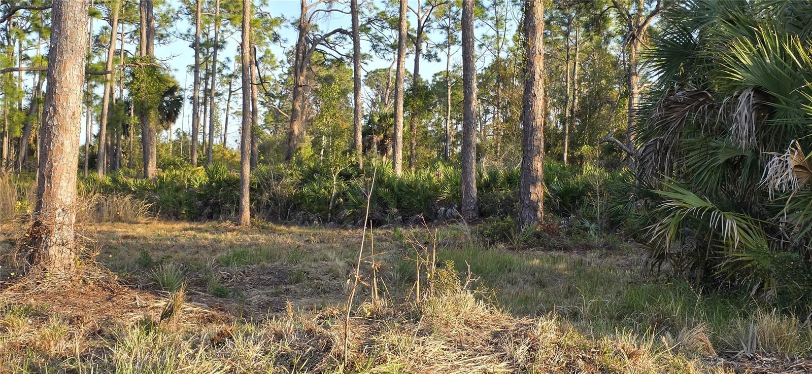 Image 3 Image 3