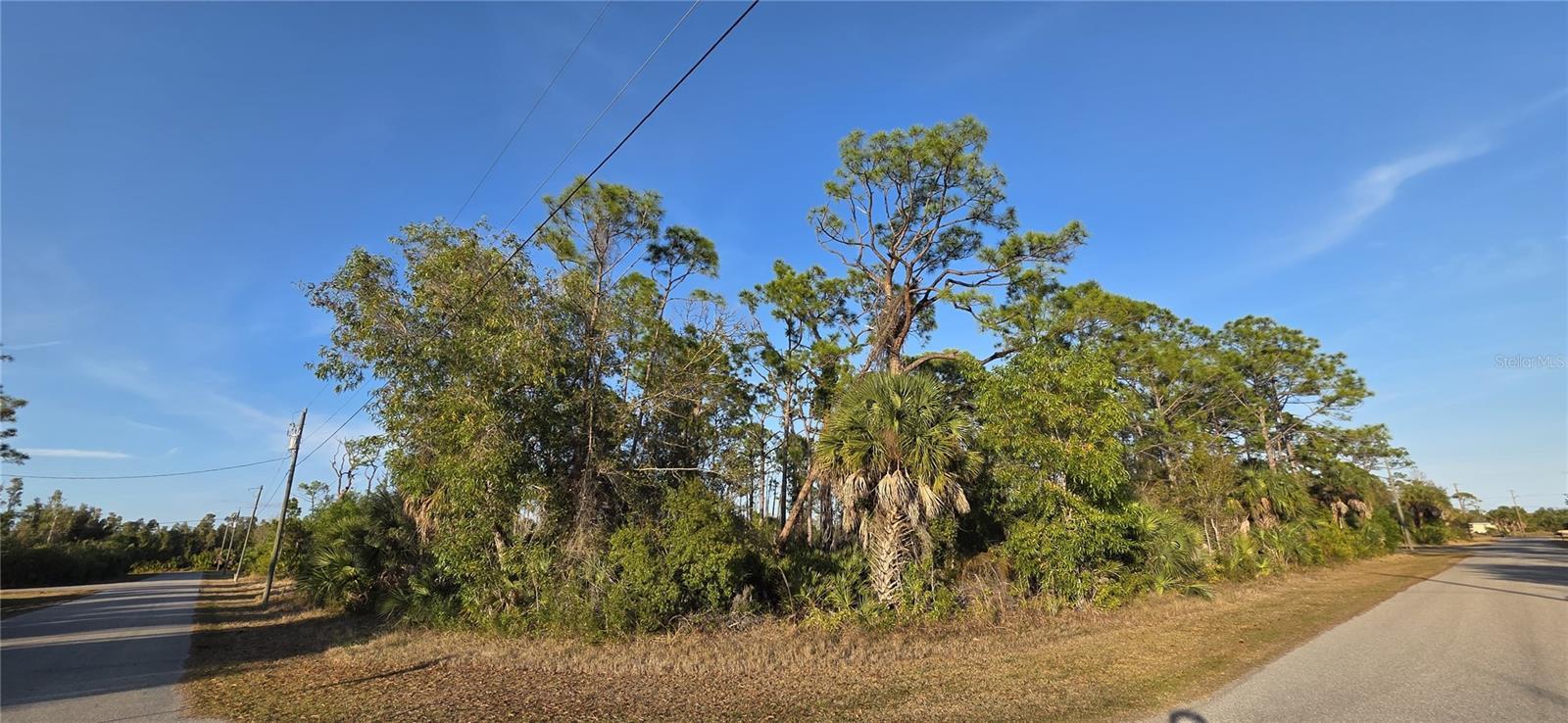 Image 4 Image 4