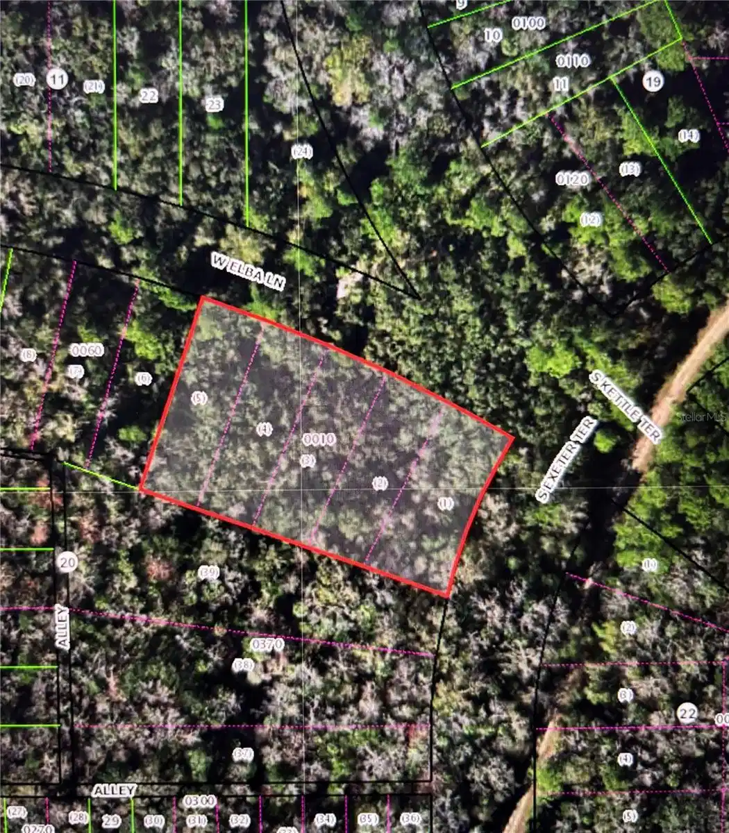Image 1 Image 1