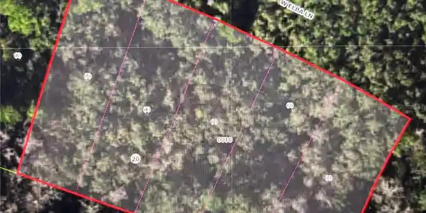 Image 3 Image 3