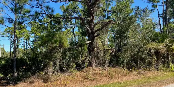 Image 4 Image 4