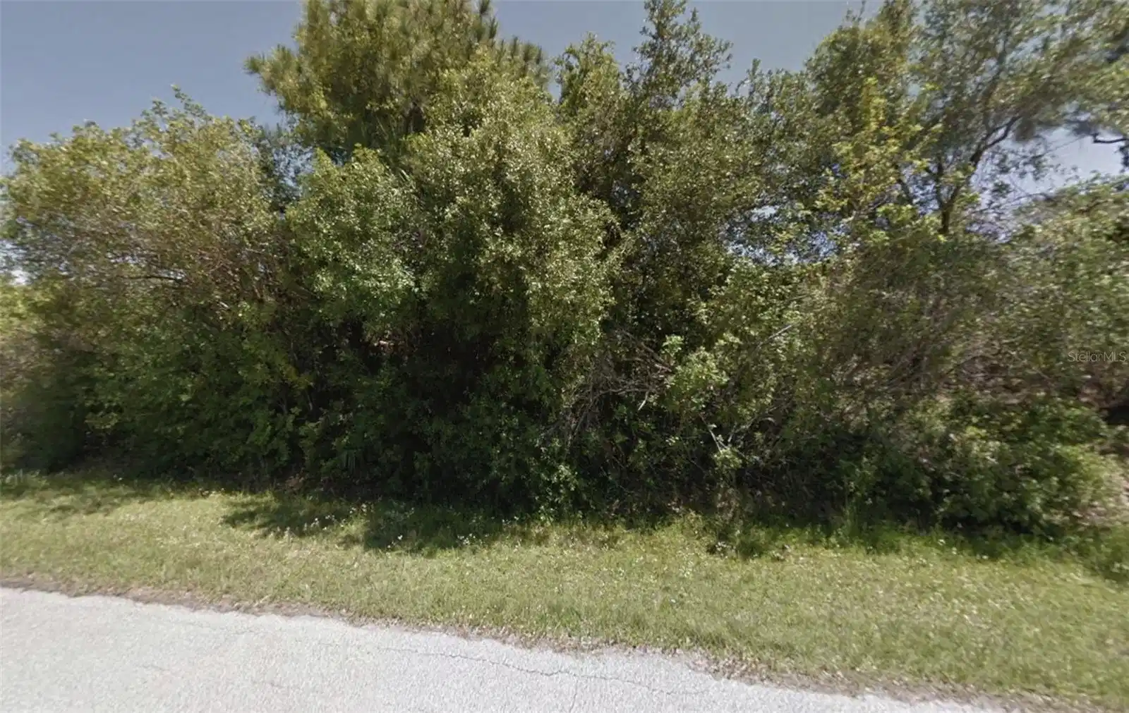 Image 1 Image 1