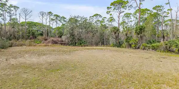 Image 4 Image 4