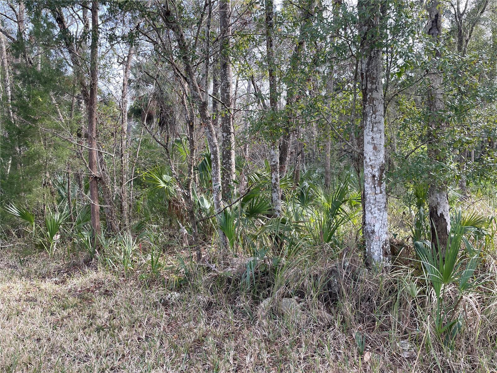 Image 3 Image 3