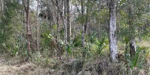 Image 3 Image 3