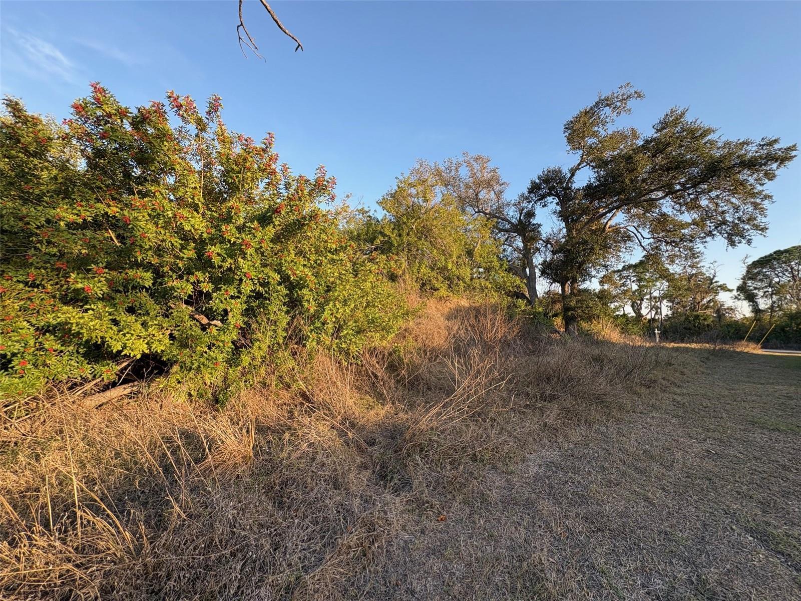 Image 4 Image 4