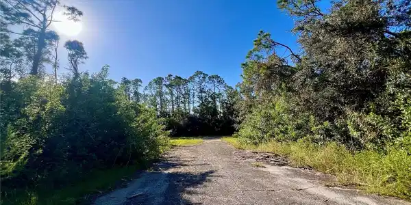 Image 3 Image 3