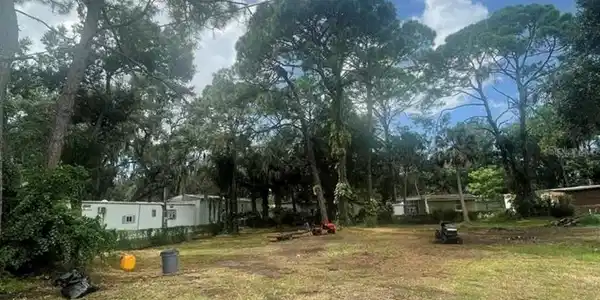 0 ORANGE GROVE S