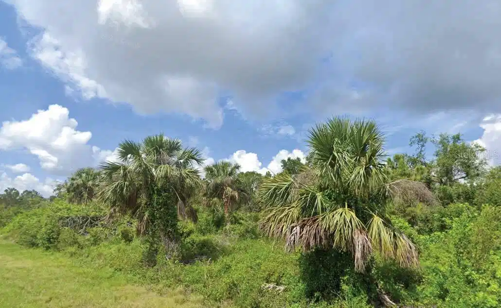 Image 1 Image 1