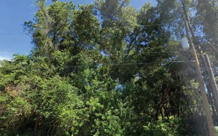 TRENTWOOD LANE