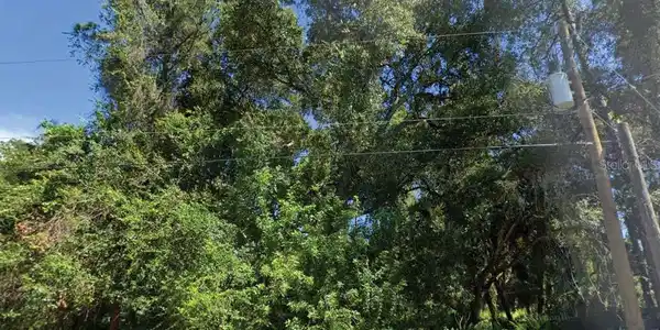 TRENTWOOD LANE