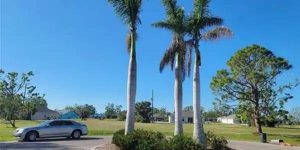 Image 4 Image 4