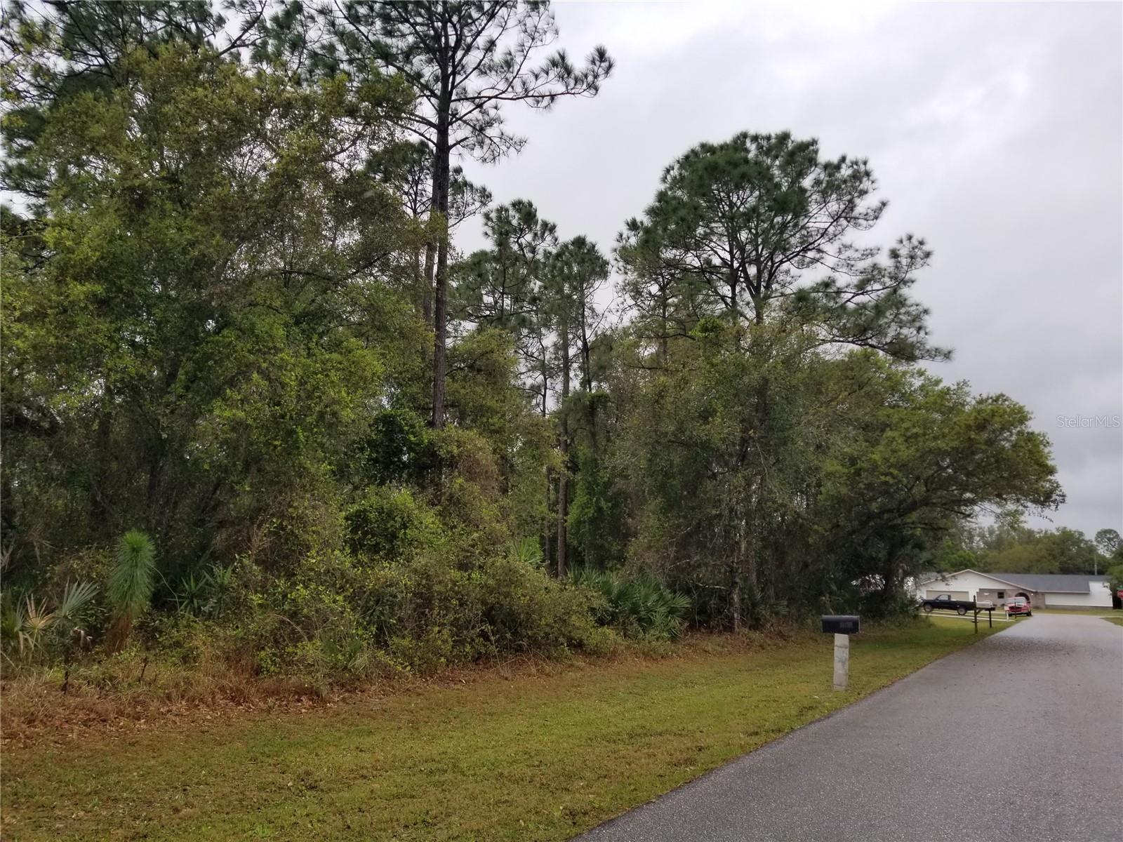 Image 1 Image 1