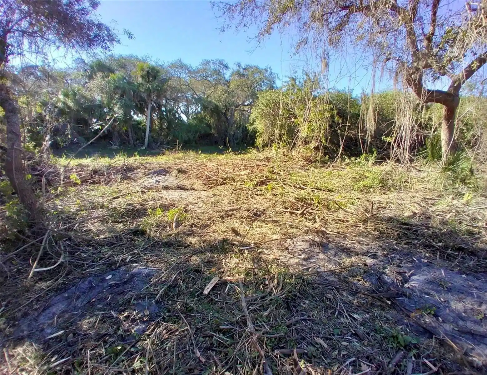 Image 1 Image 1