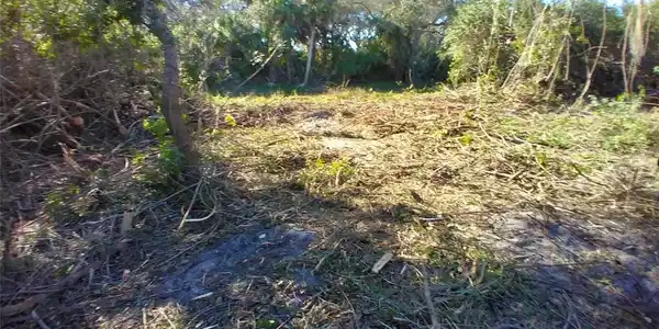Image 4 Image 4