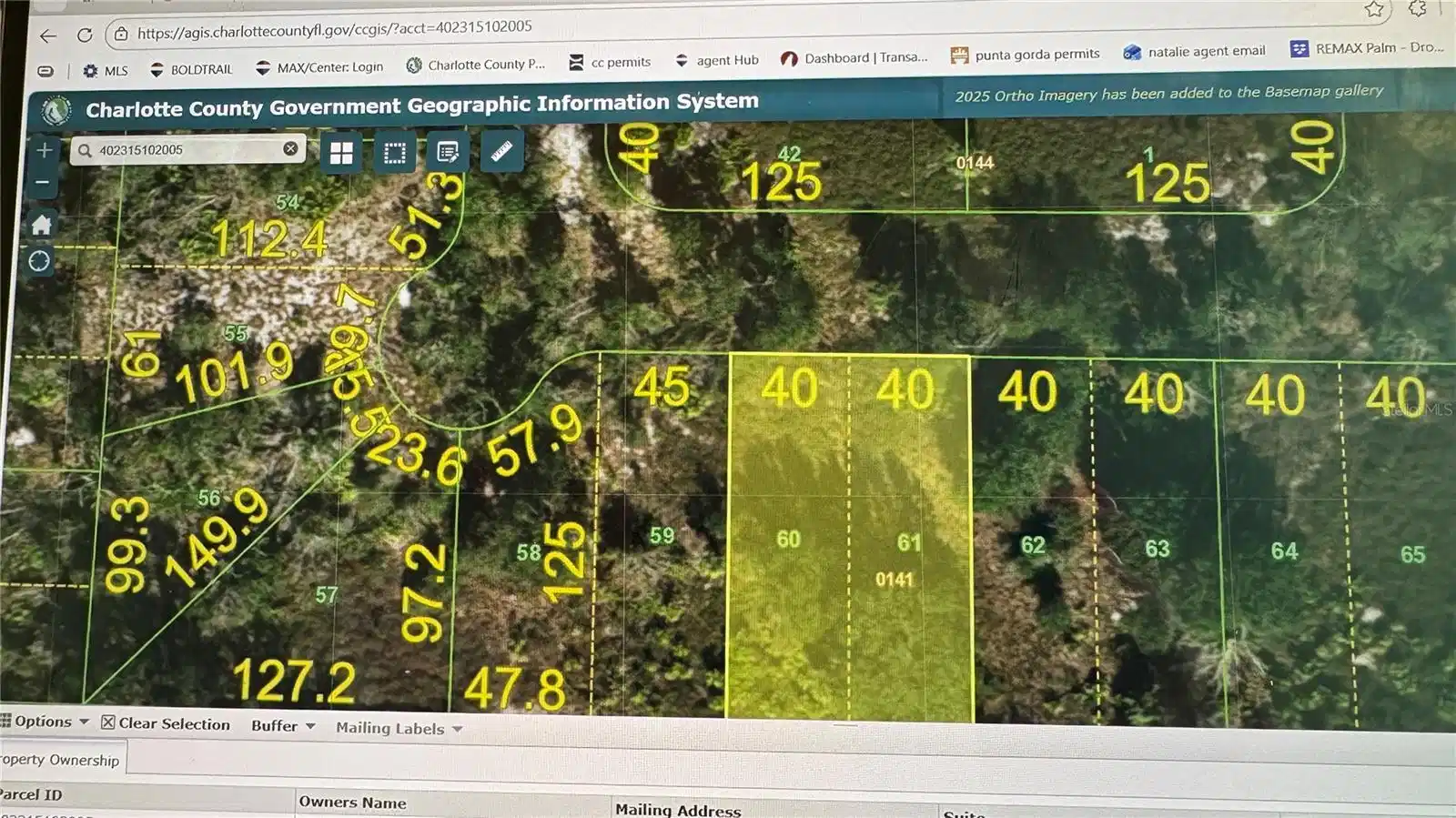 Image 1 Image 1