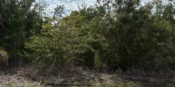 Image 3 Image 3