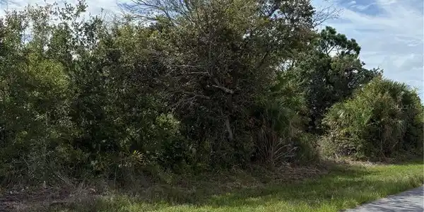 Image 4 Image 4