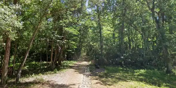 Image 4 Image 4