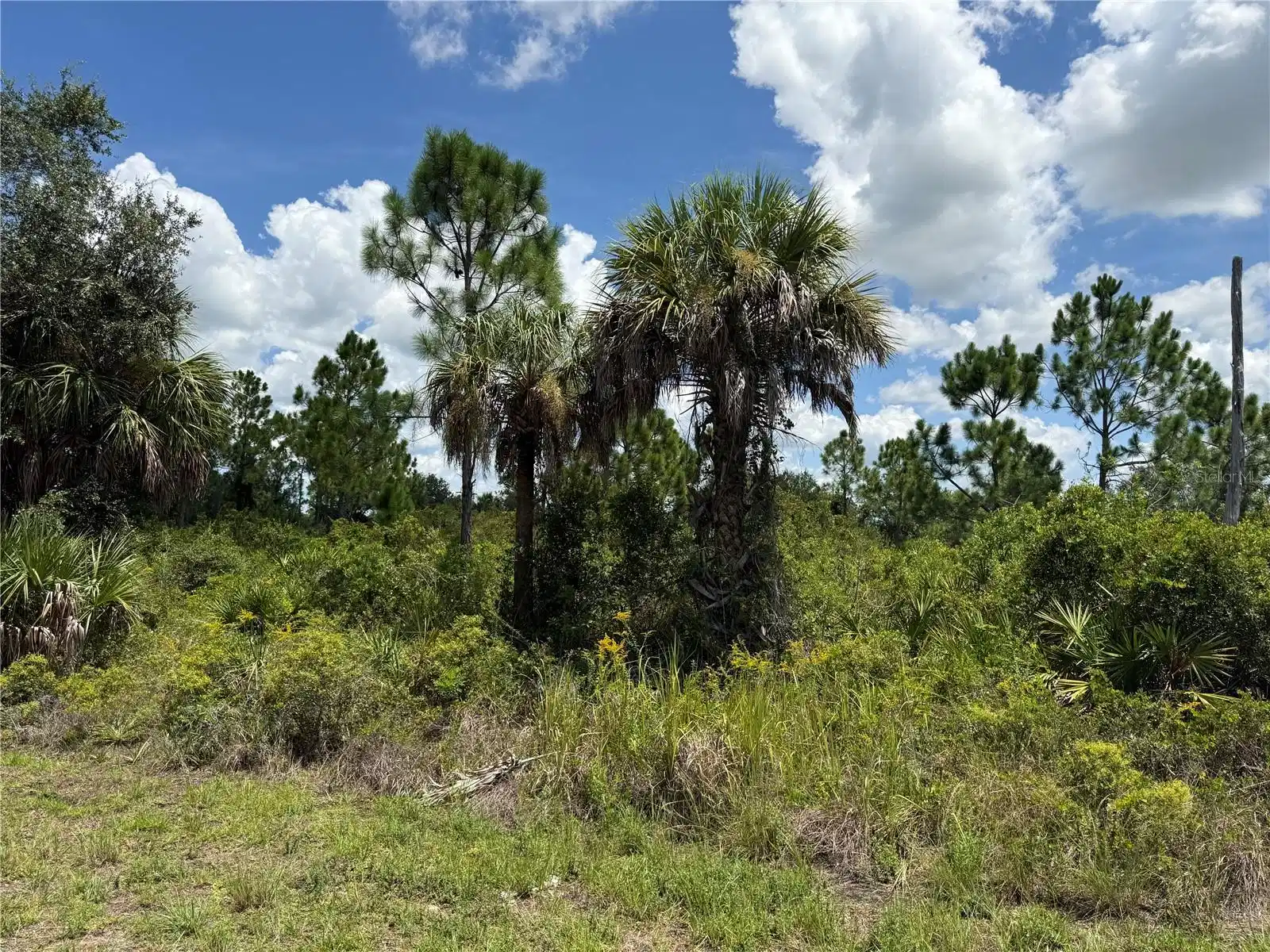 Image 1 Image 1