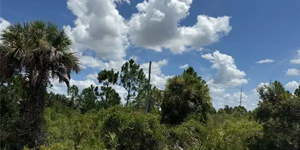 Image 2 Image 2