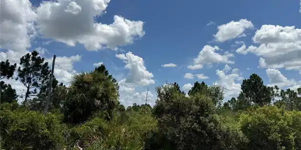 Image 4 Image 4