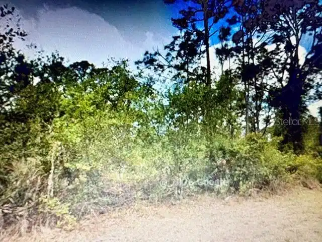 Image 1 Image 1