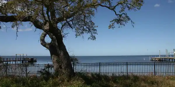 Image 4 Image 4