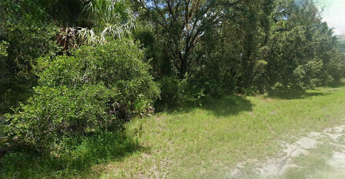 Image 1 Image 1