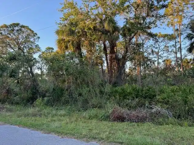 Image 1 Image 1