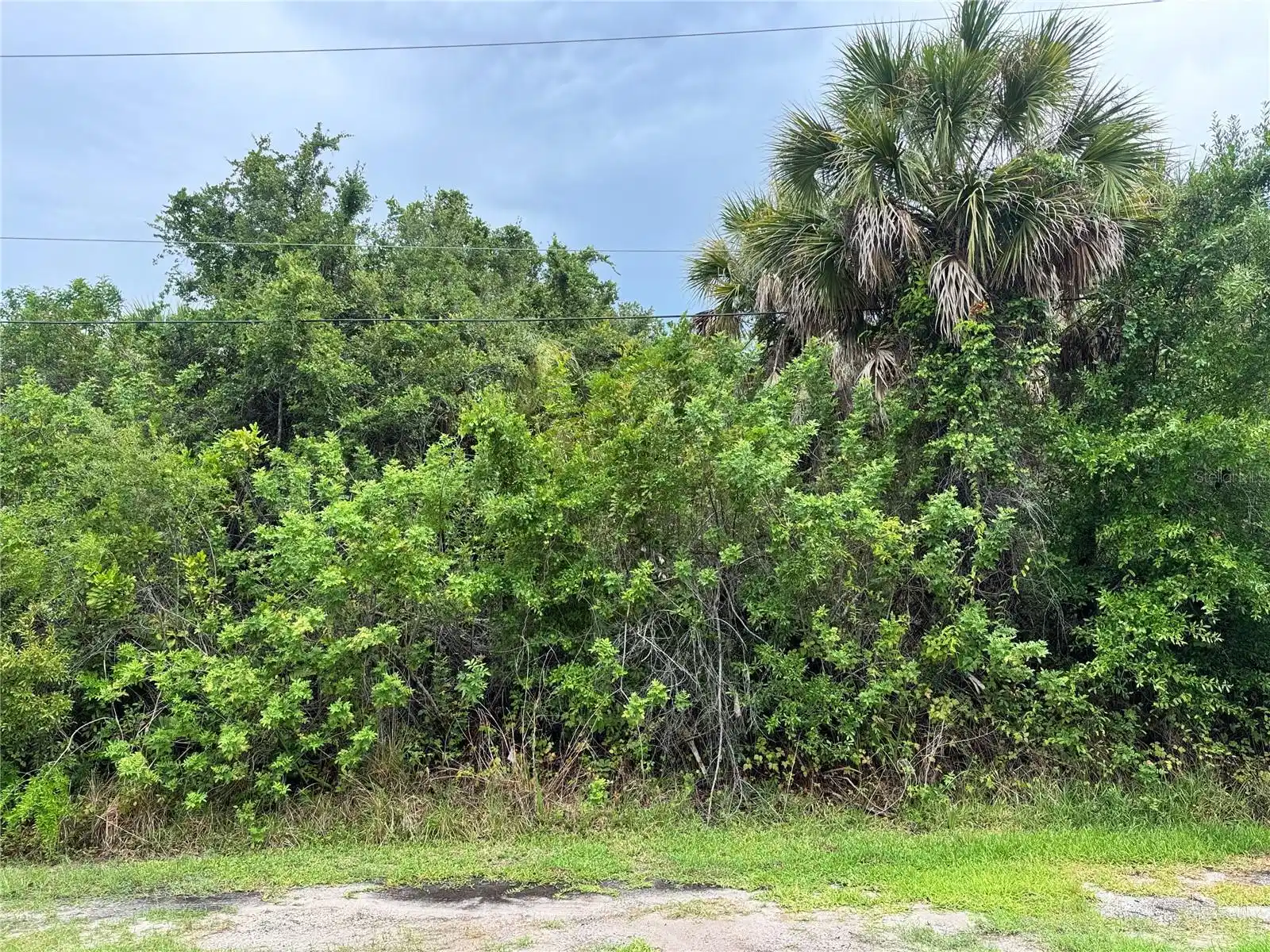 Image 1 Image 1