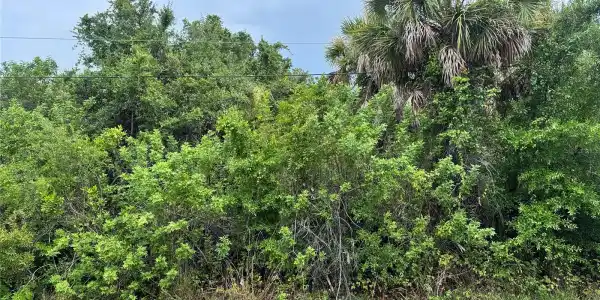 2676 PORTIA ROAD