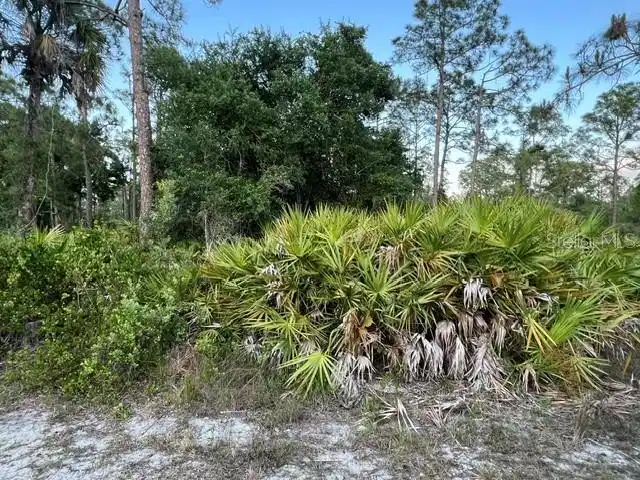Image 1 Image 1