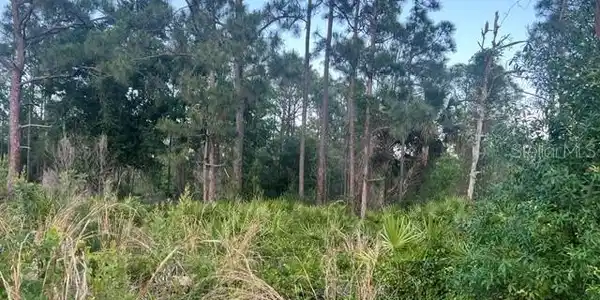 Image 3 Image 3