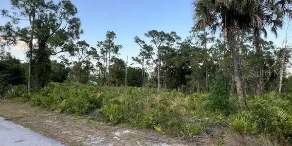 Image 4 Image 4