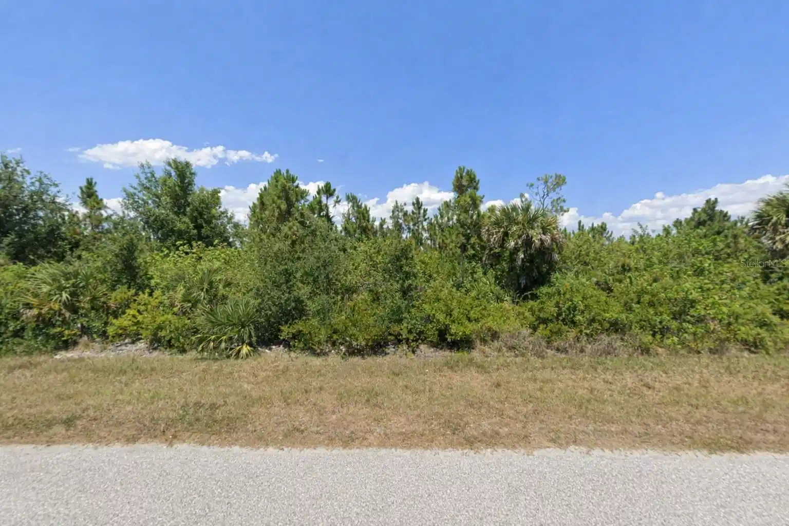 Image 1 Image 1