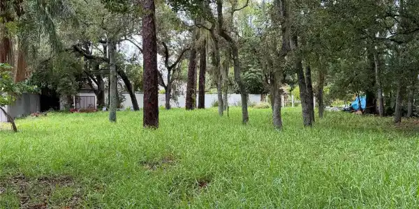 TALLAHASSEE DRIVE
