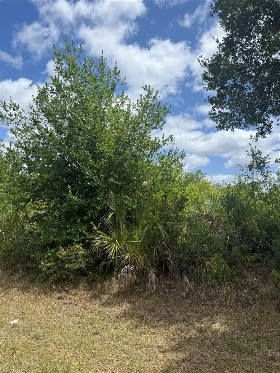 Image 1 Image 1